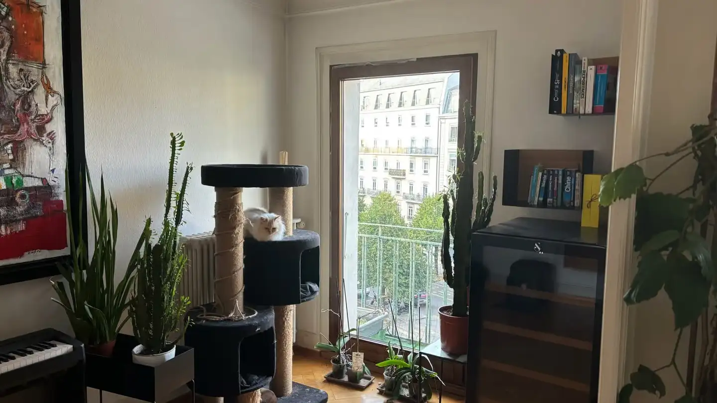 Attic flat for rent - Place Des Philosophes 12, 1205 Genève - Photo 4