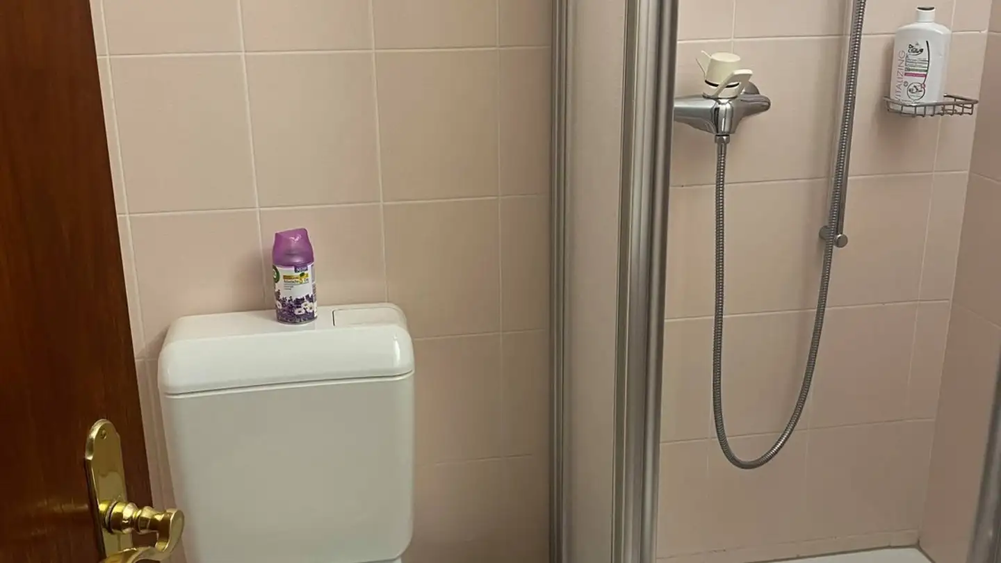 Appartamento in affitto - 3900 Brig - Photo 3