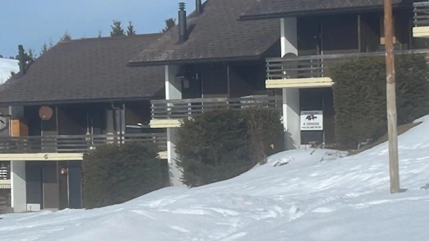 Apartment for sale - Chemin Du Lioson 9, 1862 Les Mosses