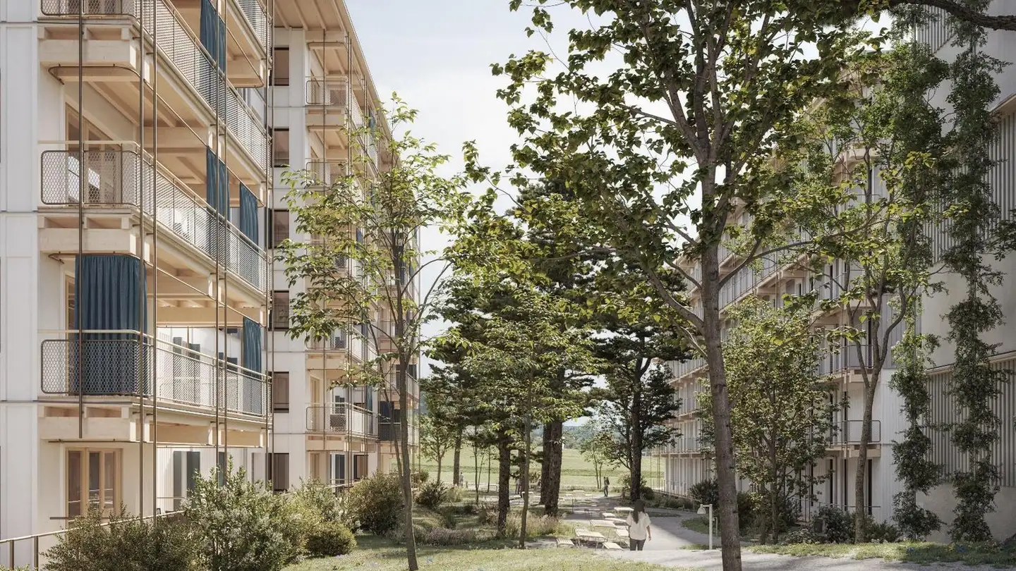 Spazio ufficio in affitto - Baarermatte, 6340 Baar - Photo 3