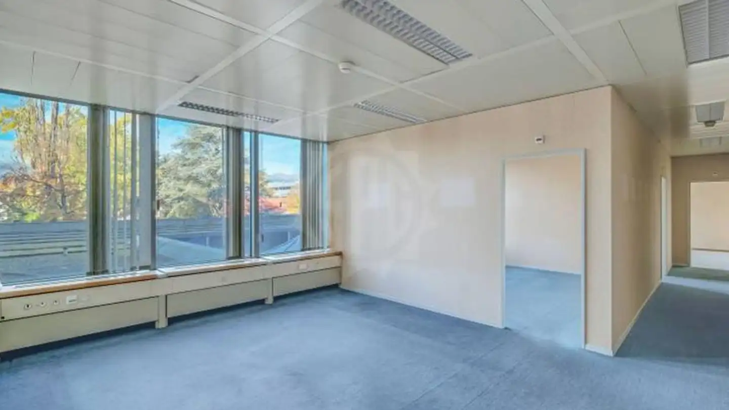 Spazio ufficio in affitto - Chemin Des Coquelicots 16, 1214 Vernier - Foto 4