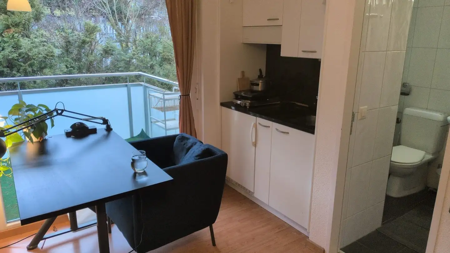 Apartment for rent - Schützenrain, 8047 Zürich - Photo 2