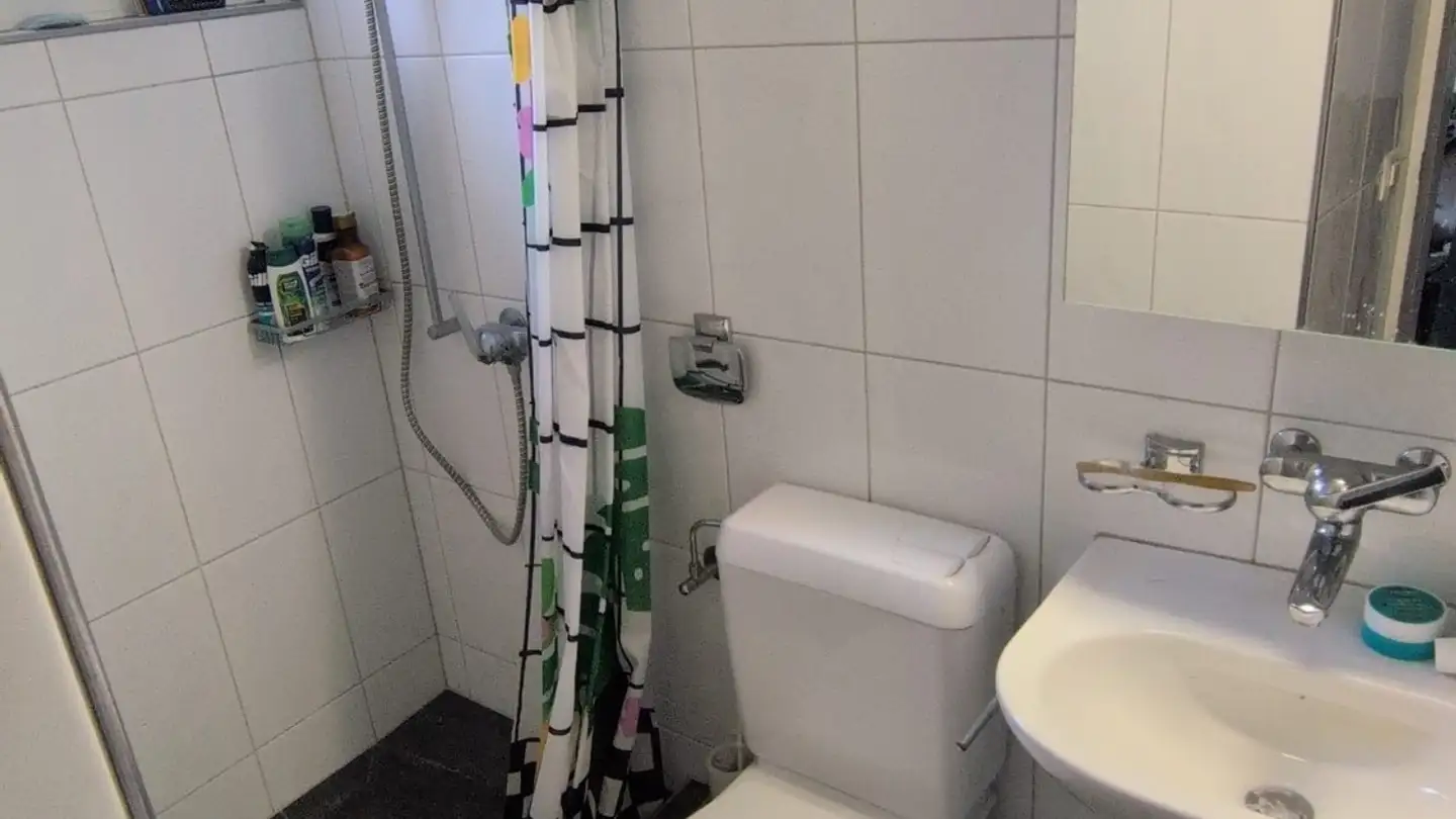 Apartment for rent - Schützenrain, 8047 Zürich - Photo 3