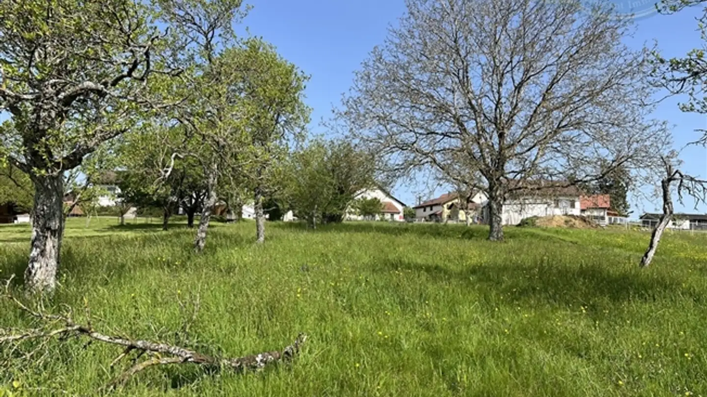 Immobile in vendita - 2915 Bure - Photo 2