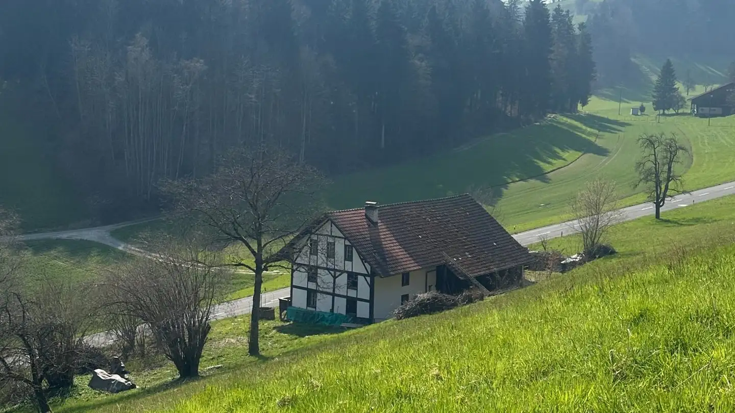 Single house for sale - Böhlerstrasse 54, 5726 Unterkulm - Photo 4
