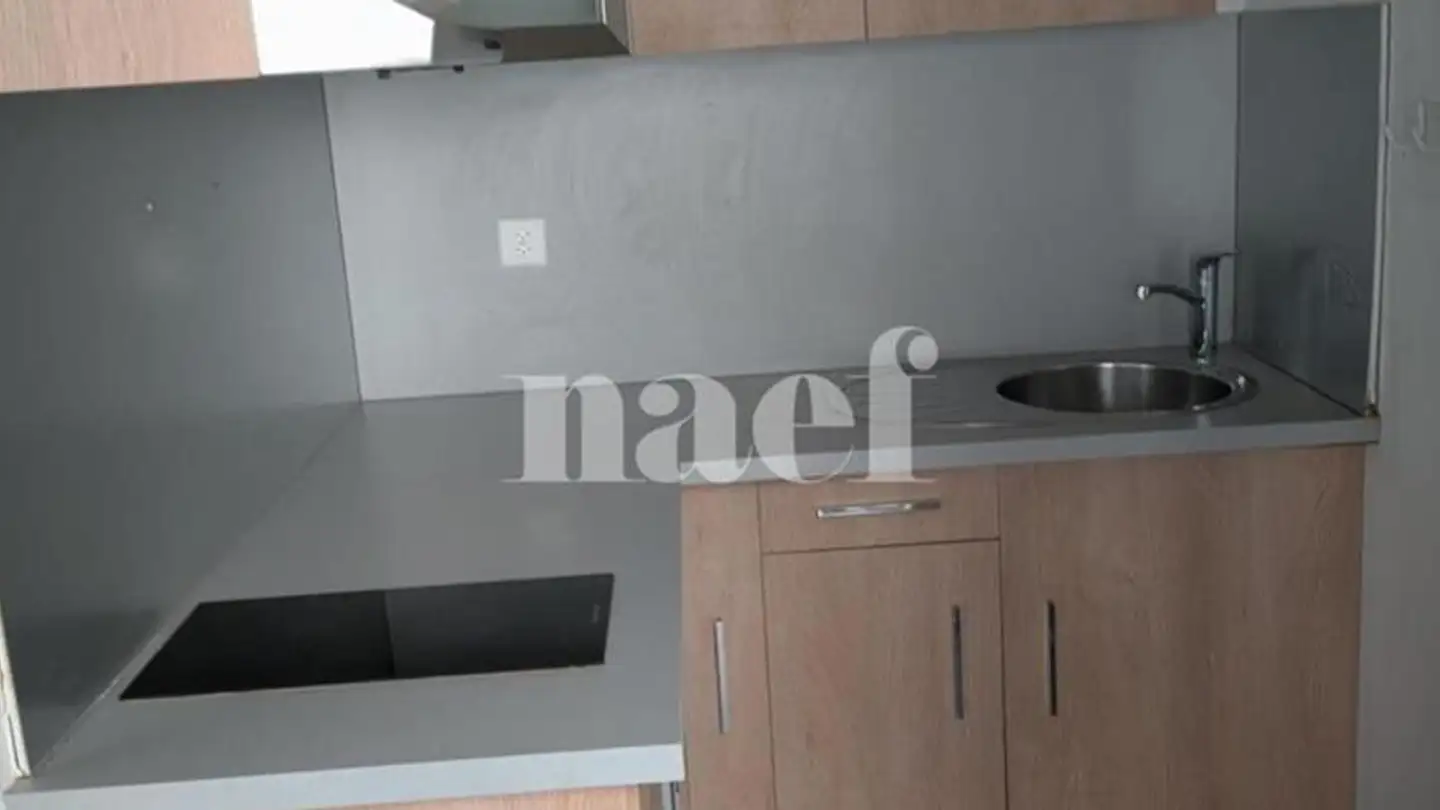 Immeuble mixte à louer - Chemin Du Repos 6, 1213 Petit-Lancy