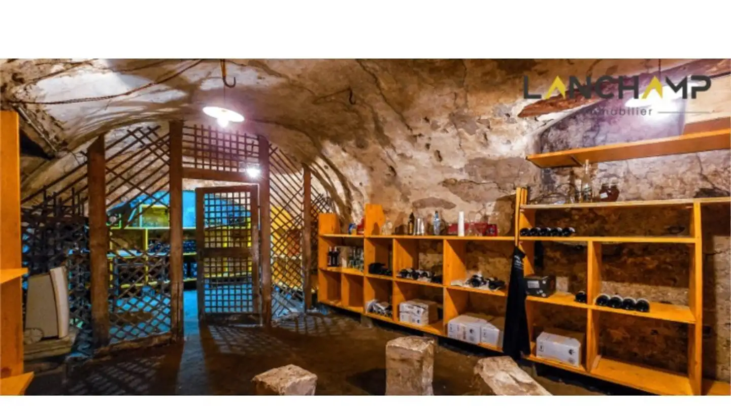 Single house for sale - 1217 Meyrin - Photo 4