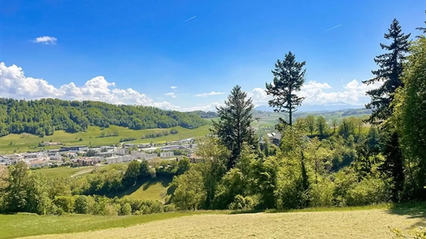 Villa in vendita - 1510 Moudon - Photo 3