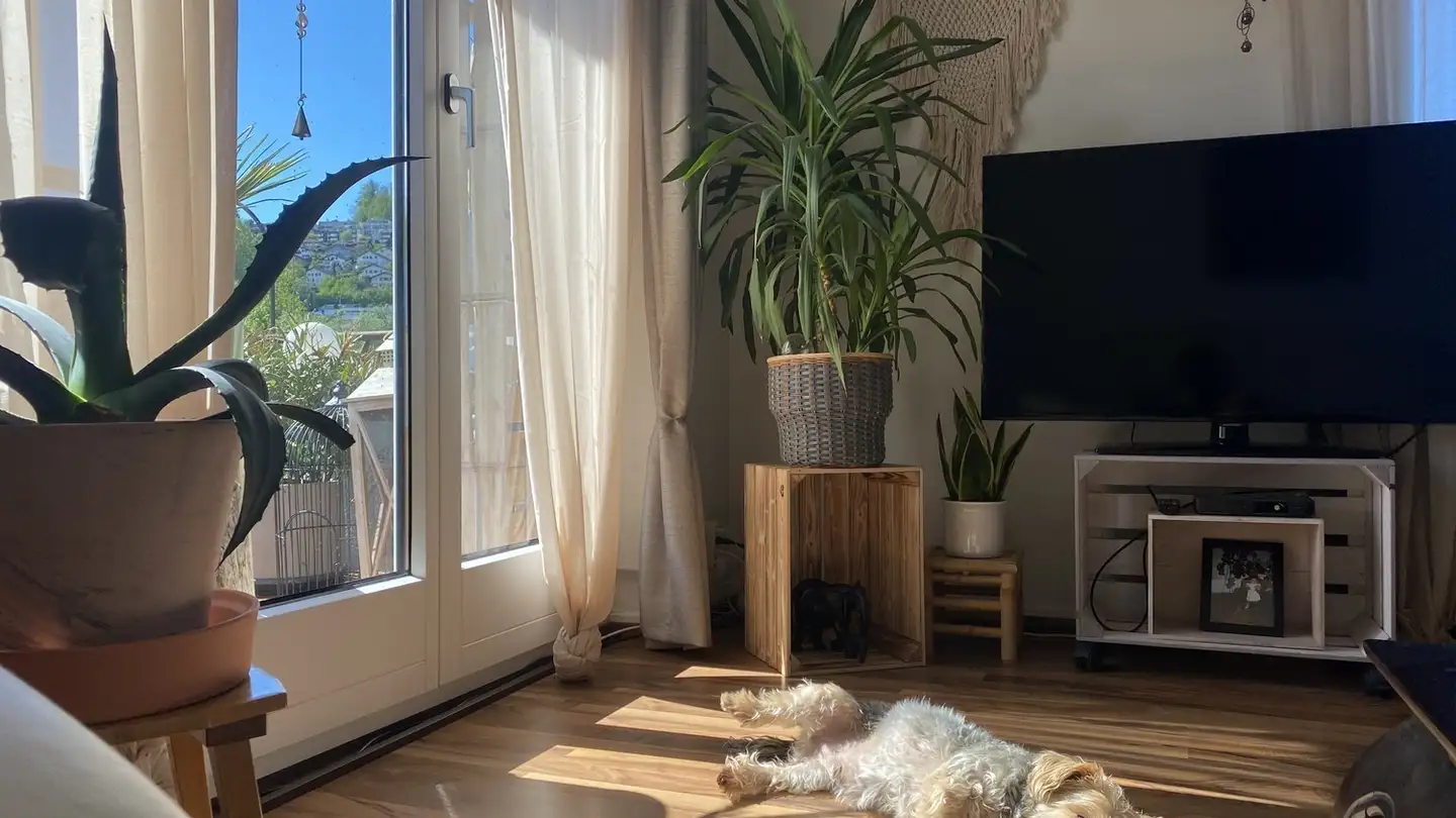 Stanza singola in affitto - Grosshofstrasse 12, 6010 Kriens - Foto 4