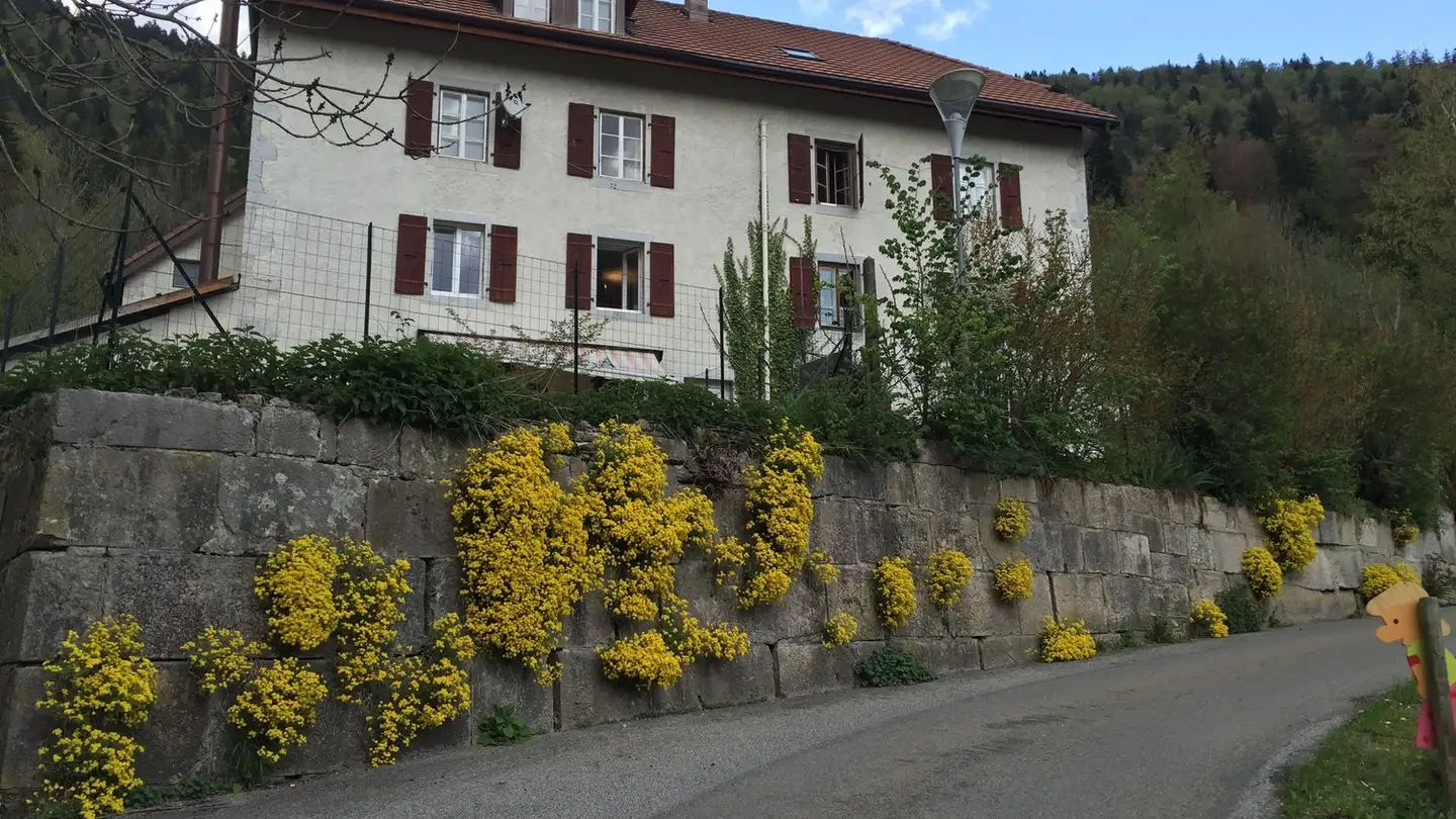 Appartamento in affitto - Rue De La Foule 6, 2123 St-Sulpice NE - Photo 3