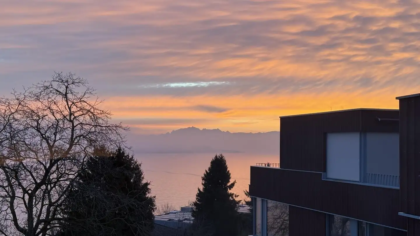 Appartamento in affitto - Tiefenhofstrasse 20d, 8820 Wädenswil - Foto 3