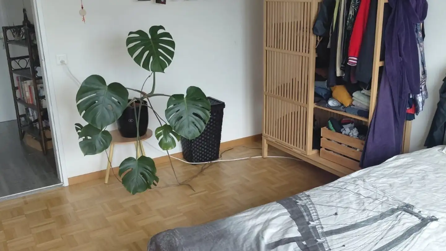 Chambre à louer - Speerstrasse 3, 8820 Wädenswil - Photo 2