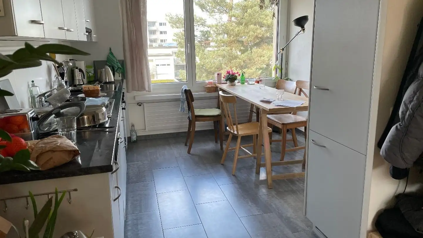 Chambre à louer - Speerstrasse 3, 8820 Wädenswil - Photo 4