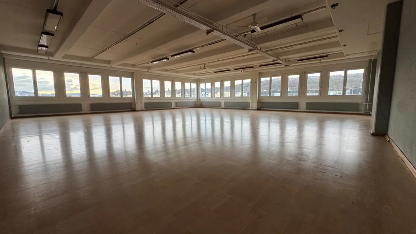 Gewerbe mieten - Wiesenstrasse 33, 8952 Schlieren - Foto 2