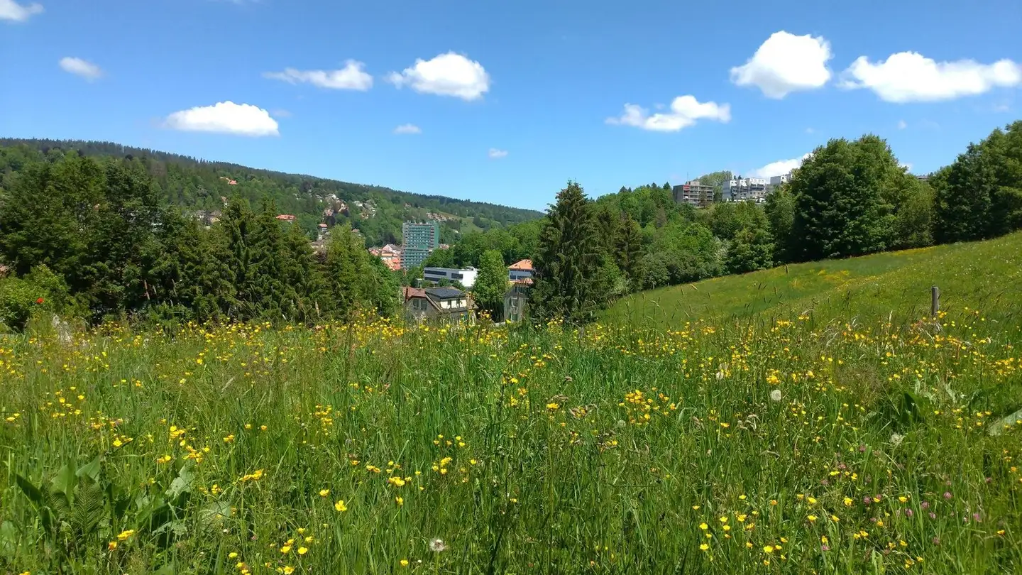 Apartment for rent - Chemin-Blanc, 2400 Le Locle - Photo 4