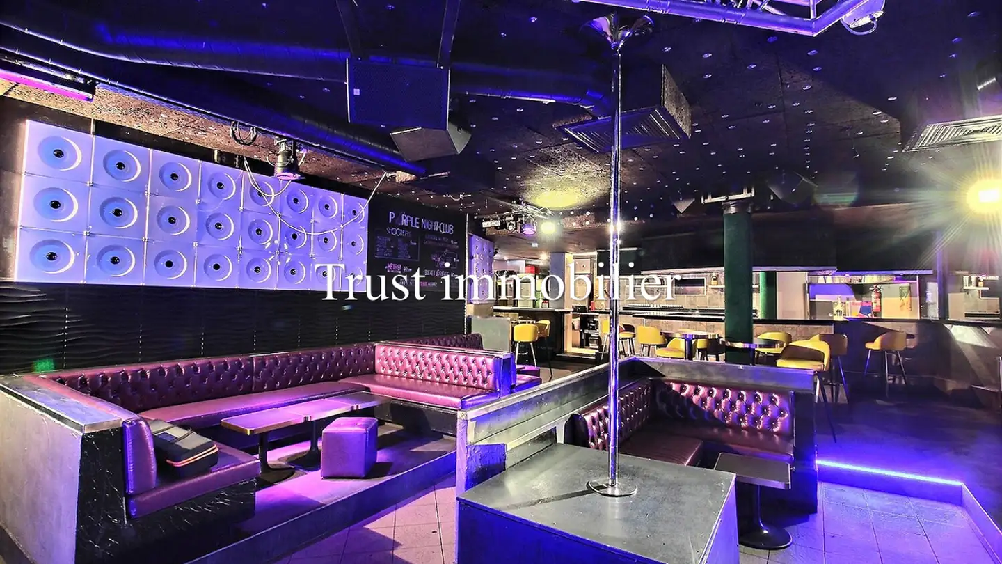 Commercial à vendre - Route De Crans-Montana, 3963 Montana - Photo 2