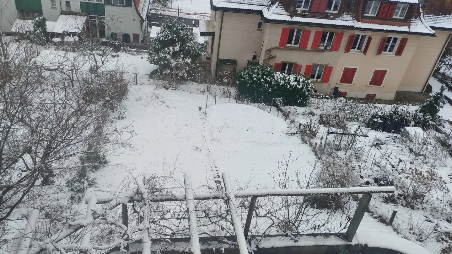 Chambre à louer - 8400 Winterthur - Photo 4