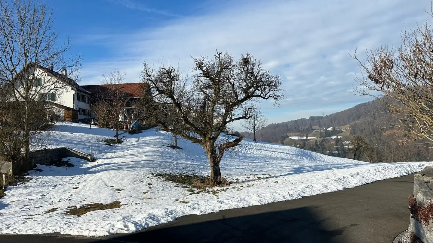 Constructible plot for sale - Büttenstrasse, 8733 Eschenbach SG