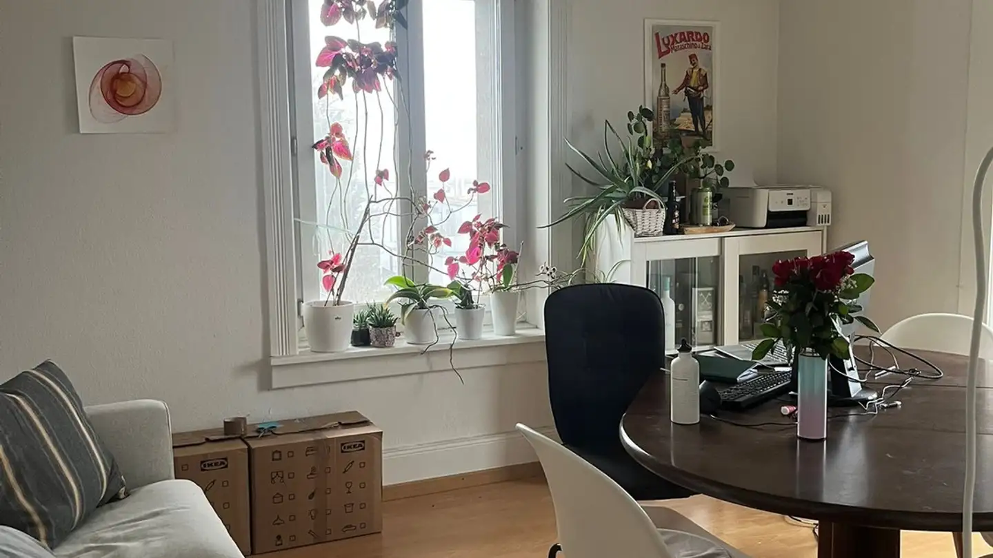 Möblierte Wohnung mieten - Regensbergstrasse 320, 8050 Zürich