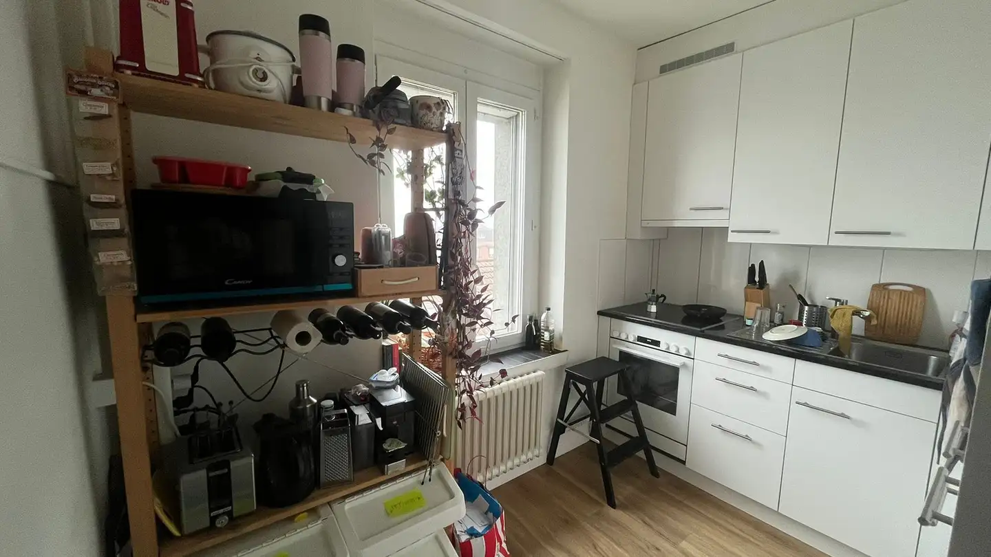 Möblierte Wohnung mieten - Regensbergstrasse 320, 8050 Zürich - Foto 2