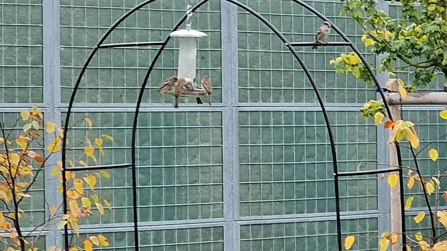 Zimmer mieten - 8408 Winterthur - Foto 3