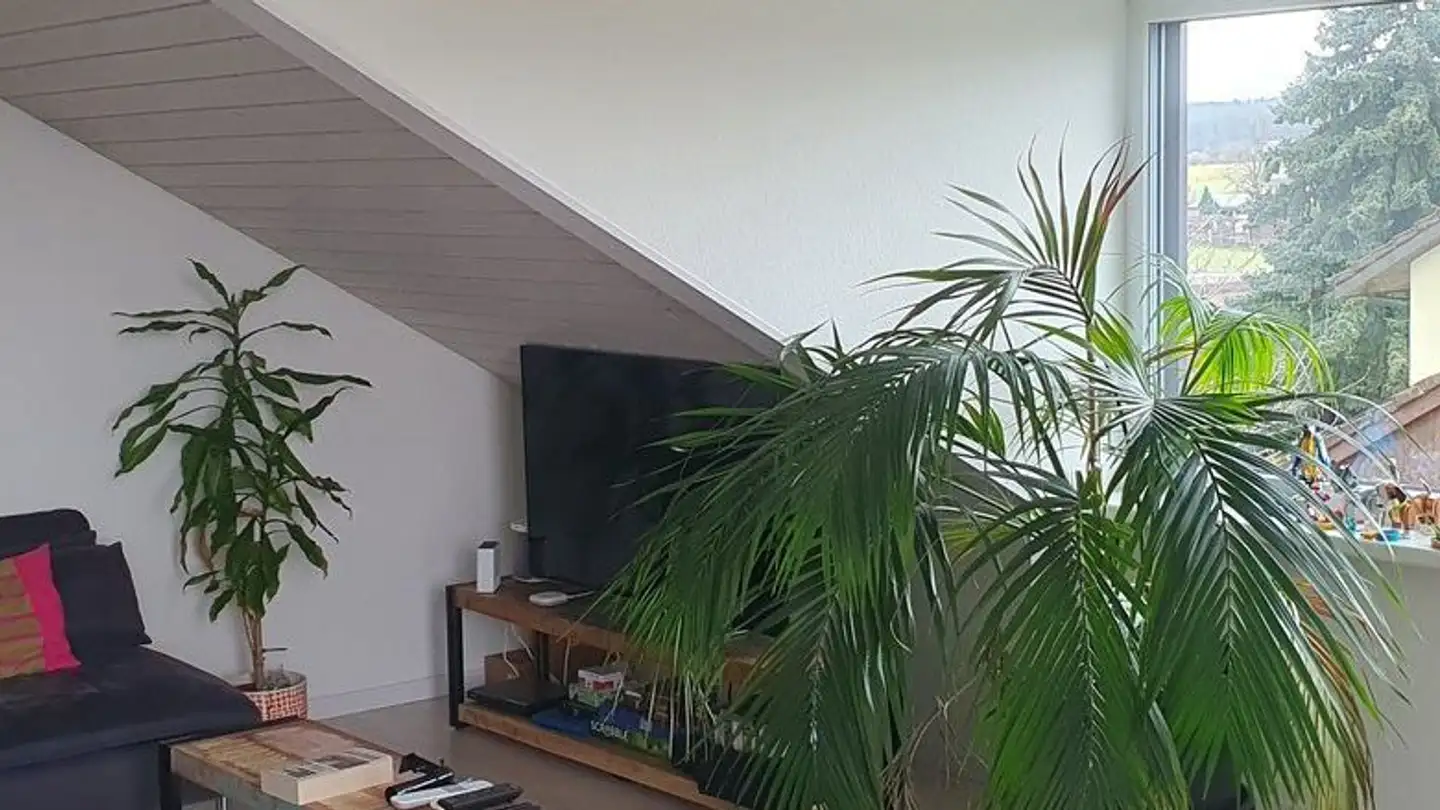 Casa bifamiliare in affitto - Tellerweg 24, 4102 Binningen - Foto 2