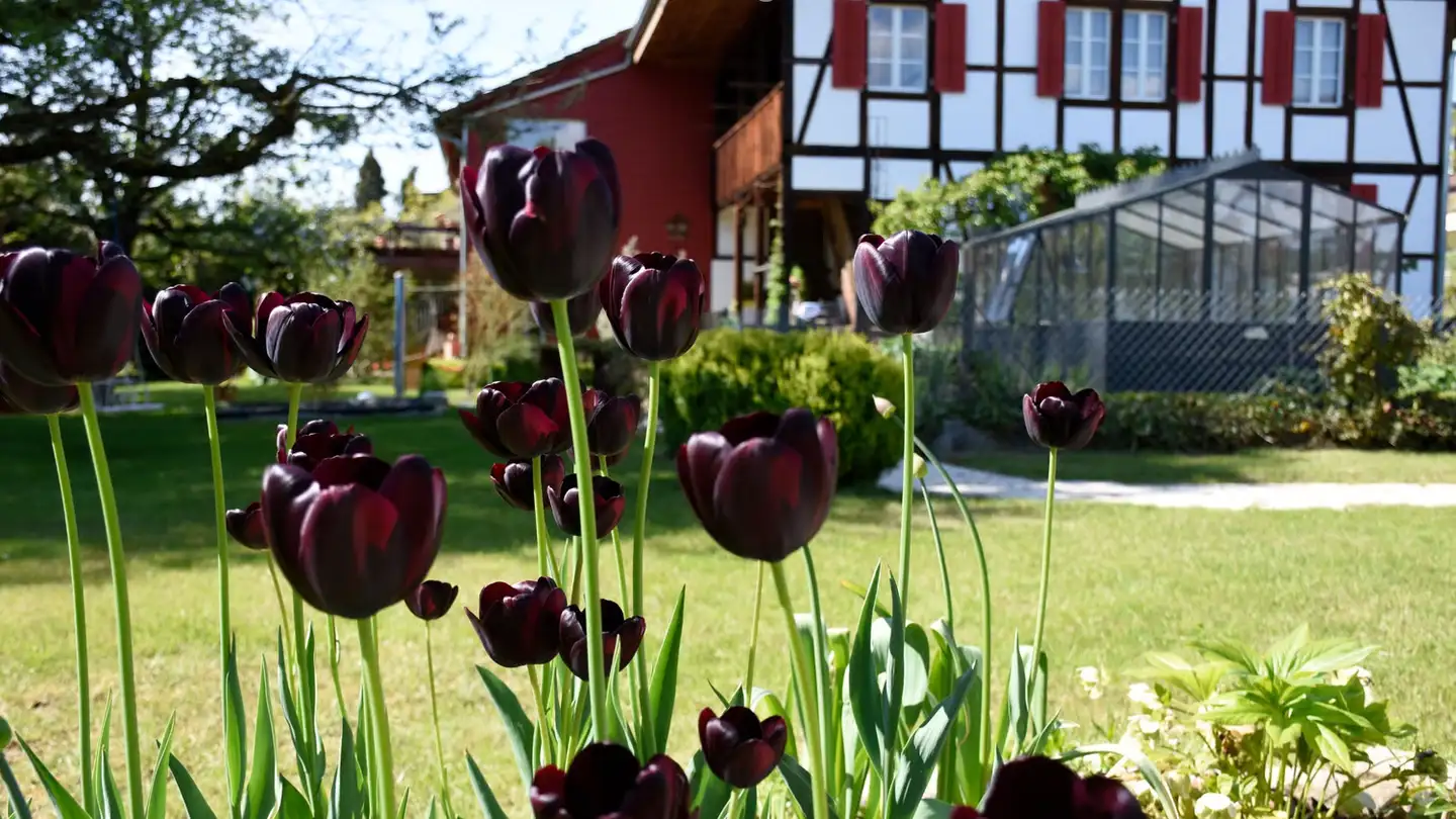 Apartment for rent - Sägegasse 61, 3110 Münsingen