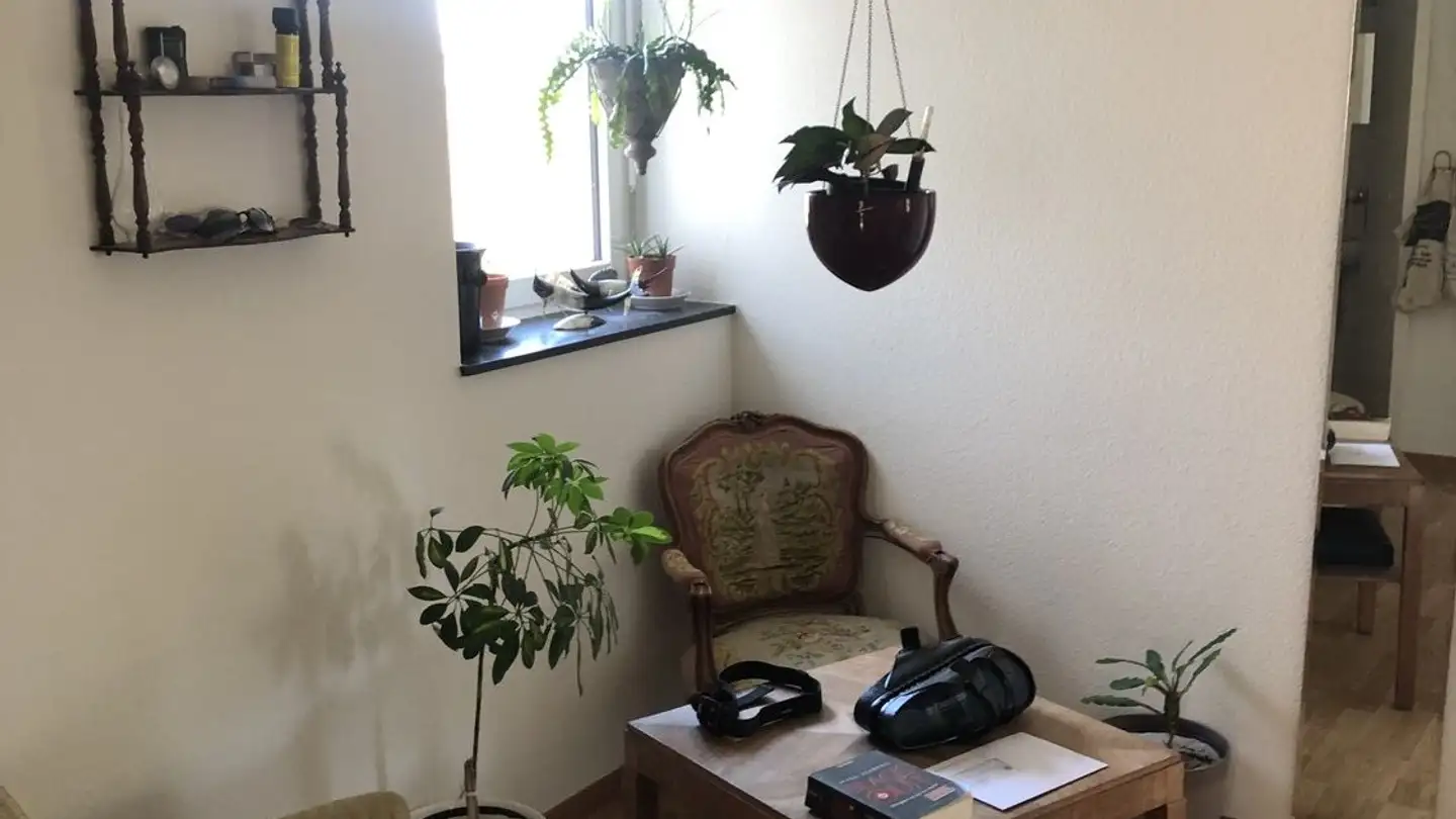 Stanza singola in affitto - Talstrasse 20, 8125 Zollikerberg - Foto 2