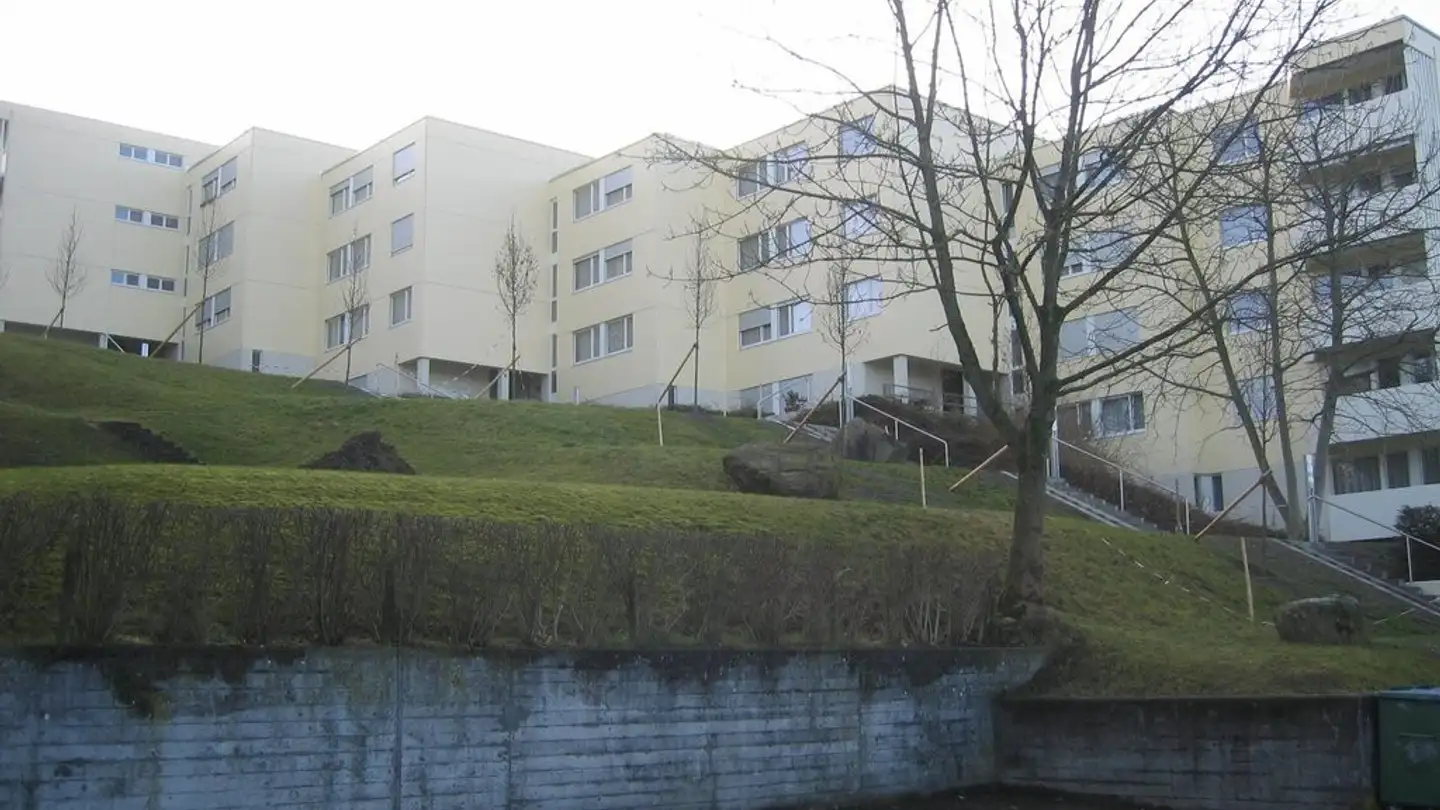 Appartement à louer - Schulstrasse 94, 8952 Schlieren