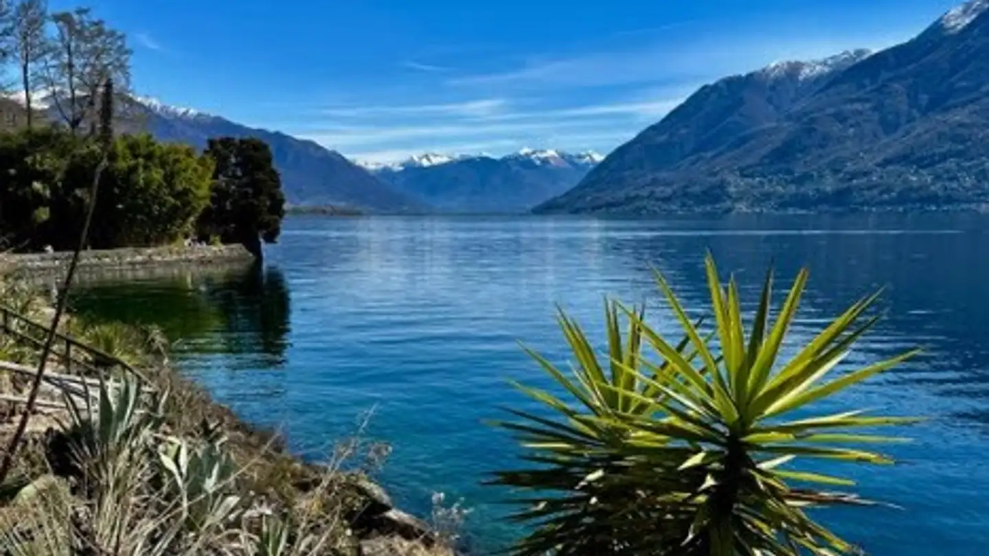 Casa singola in affitto - 1092 Belmont-sur-Lausanne - Foto 3