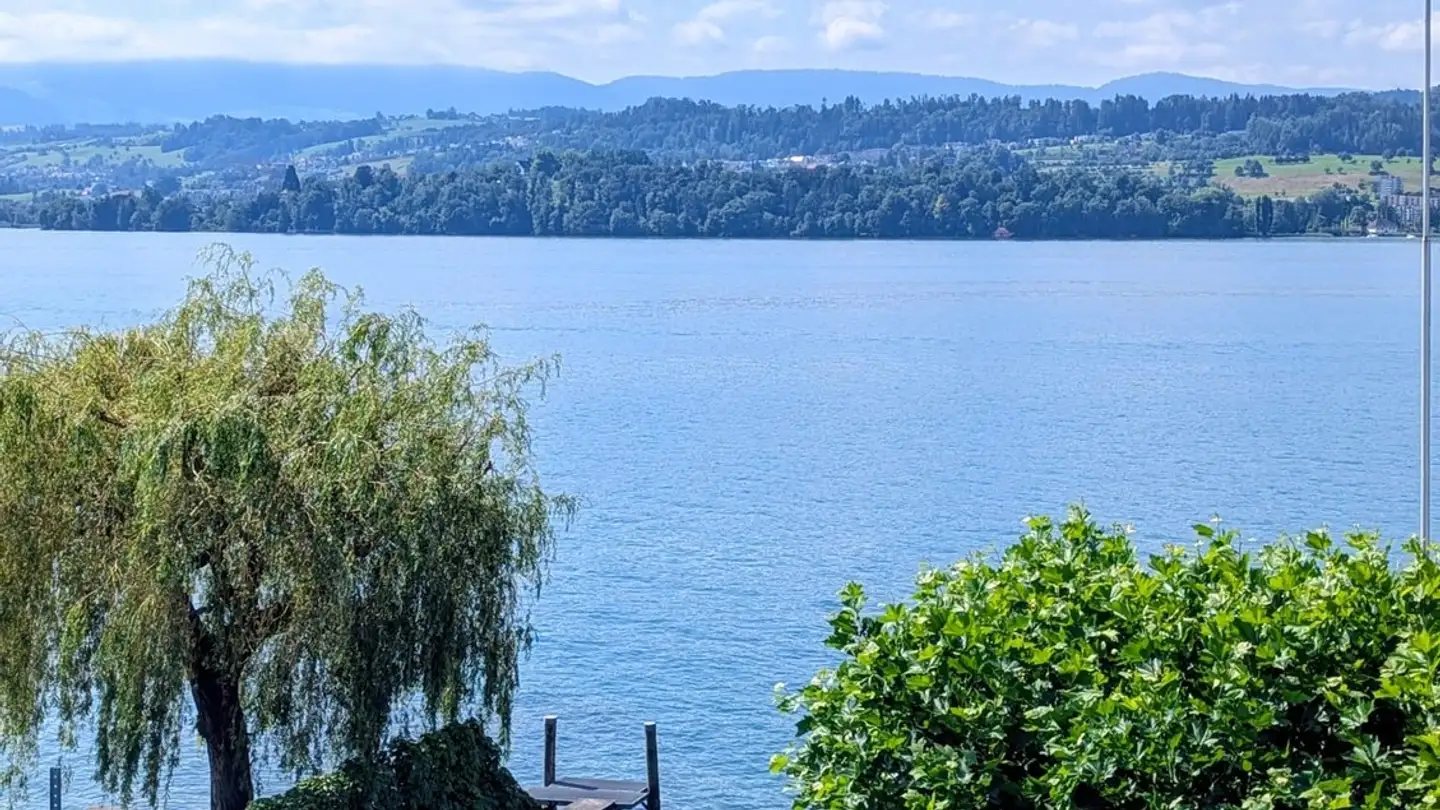 Apartment for rent - Im Höchlig, 8706 Meilen - Photo 2