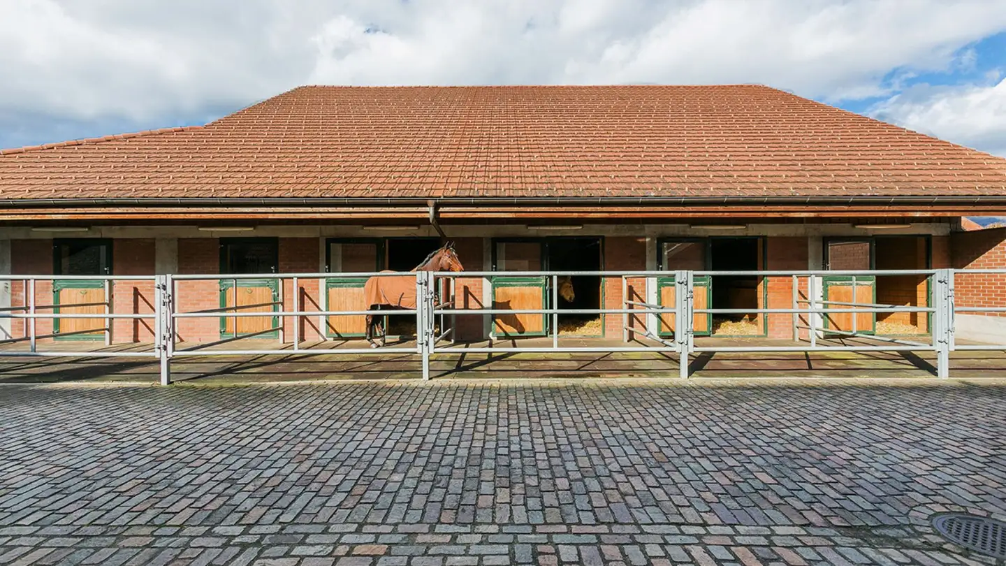 Casa singola in vendita - 4500 Solothurn - Photo 4