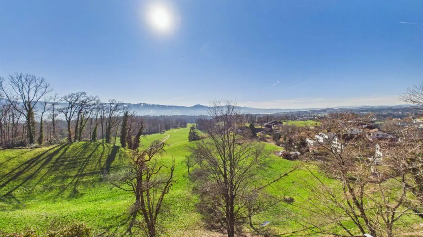 Einfamilienhaus kaufen - 8630 Rüti ZH