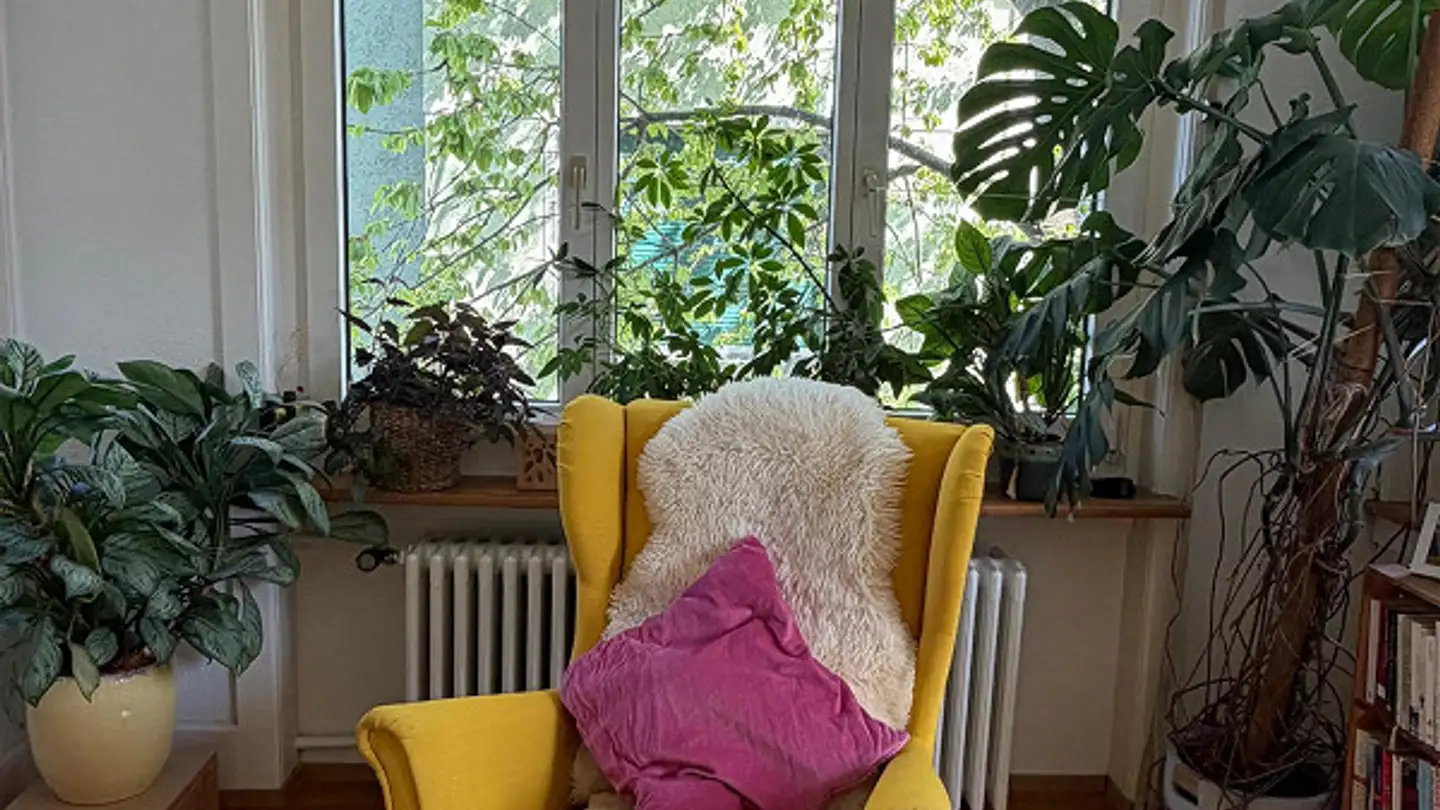 Appartamento ammobiliato in affitto - Albisstrasse 134, 8038 Zürich