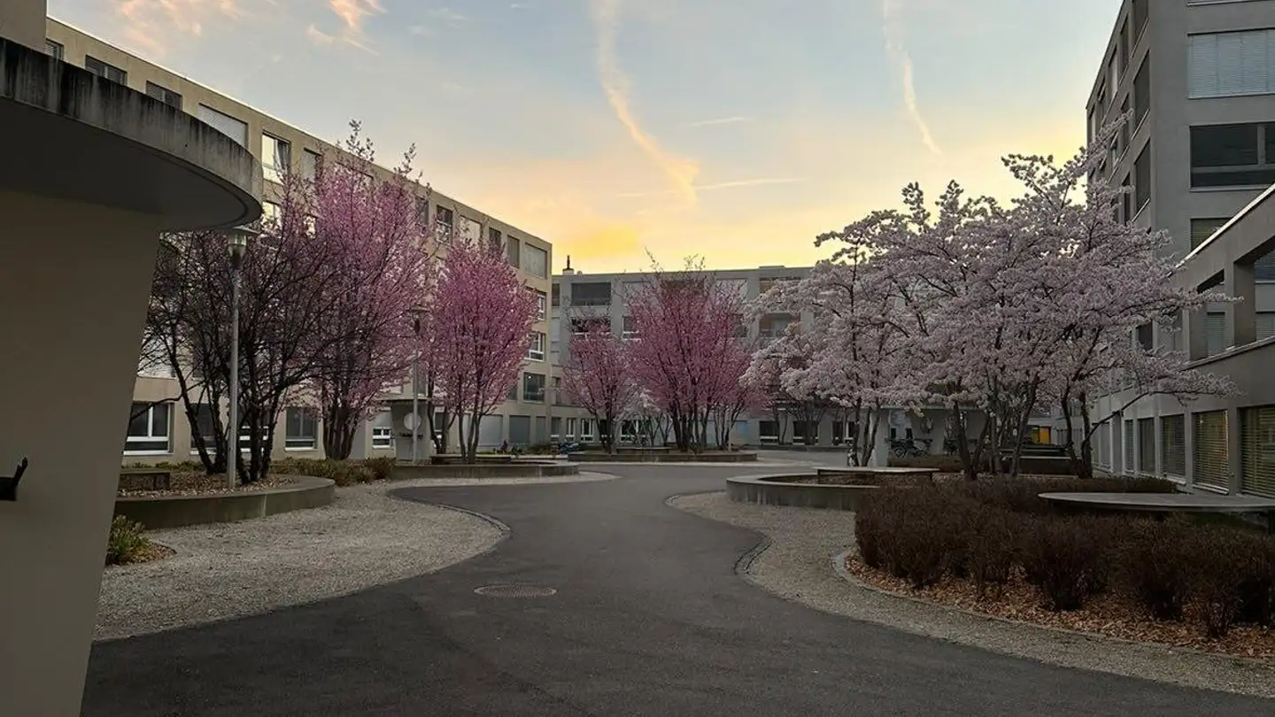 Appartement à louer - Rue Des Prés / Mattenstrasse 75, 2503 Biel/Bienne