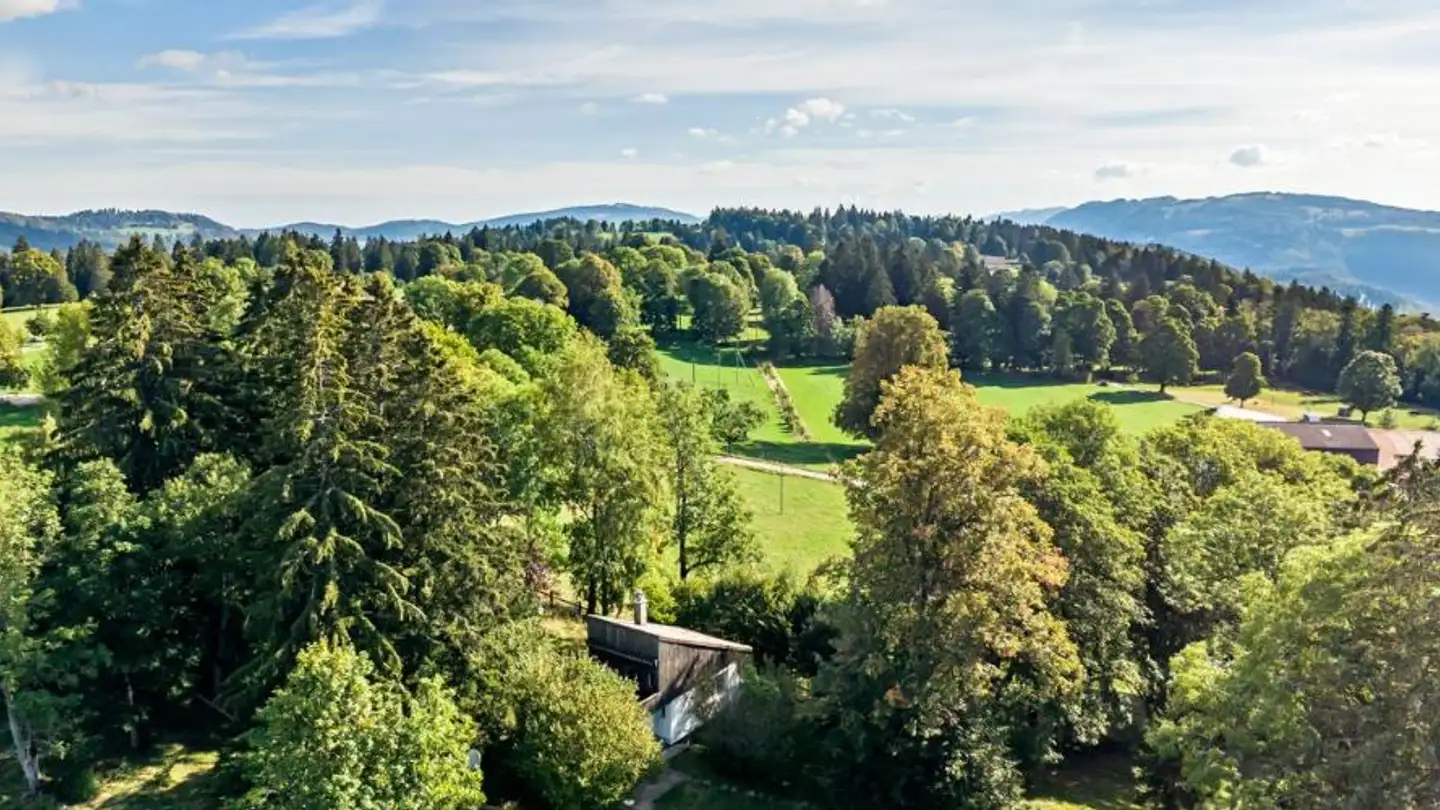 Chalet kaufen - Jeanbrenin 91, 2720 La Tanne
