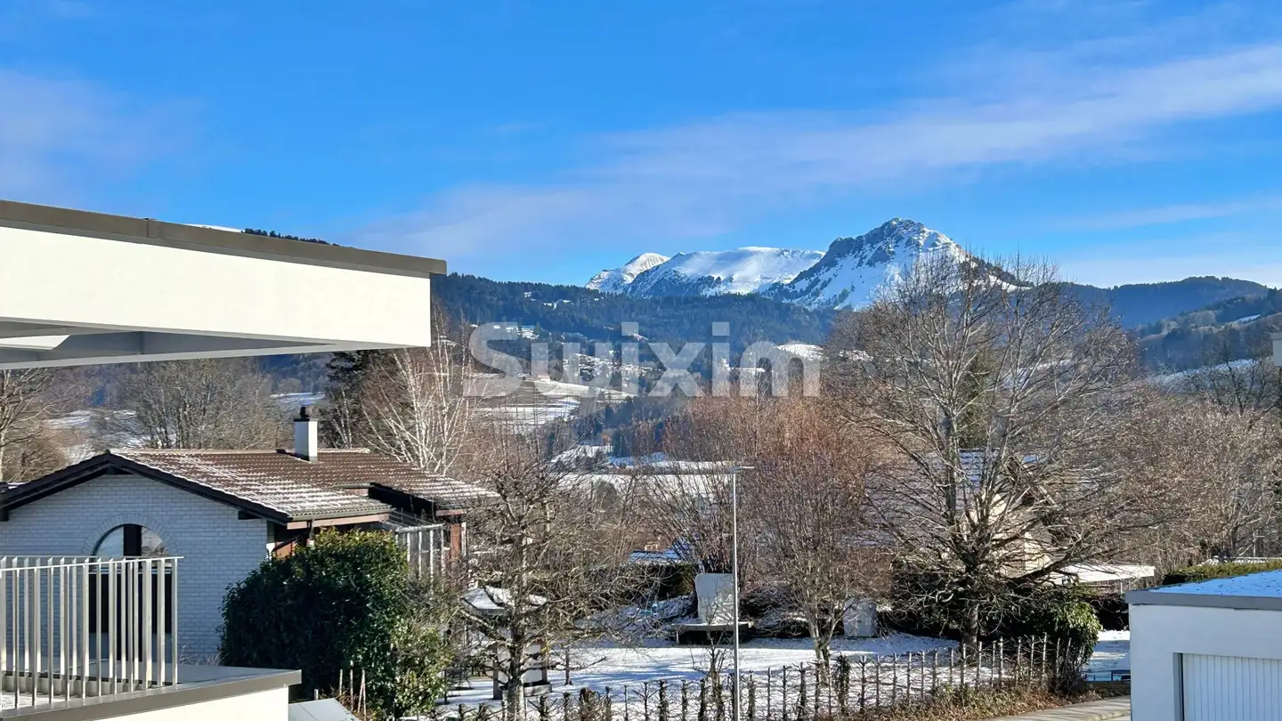 Doppelhaushälfte kaufen - 1808 Les Monts-de-Corsier