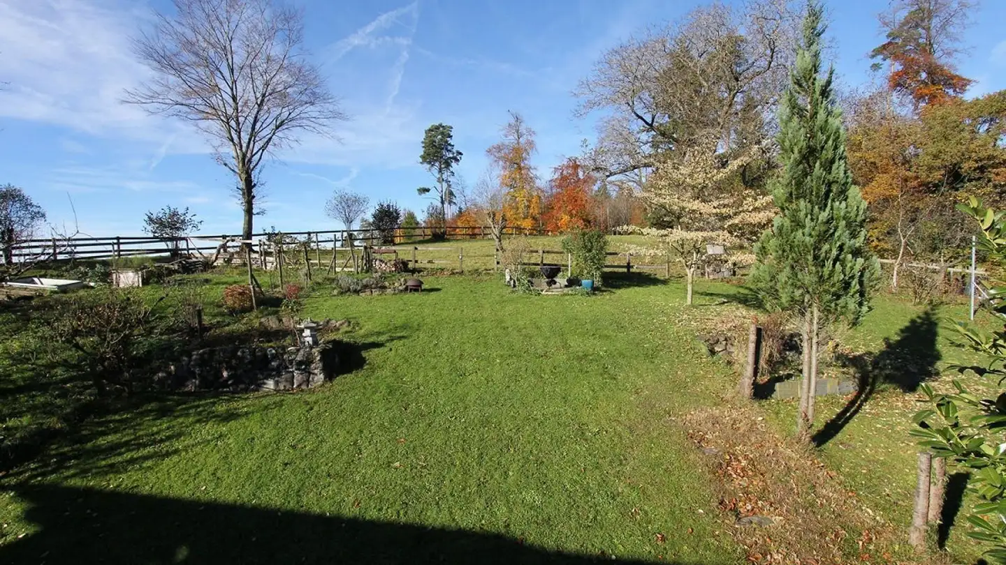 Maison individuelle à vendre - Zollikonstrasse, 8122 Binz