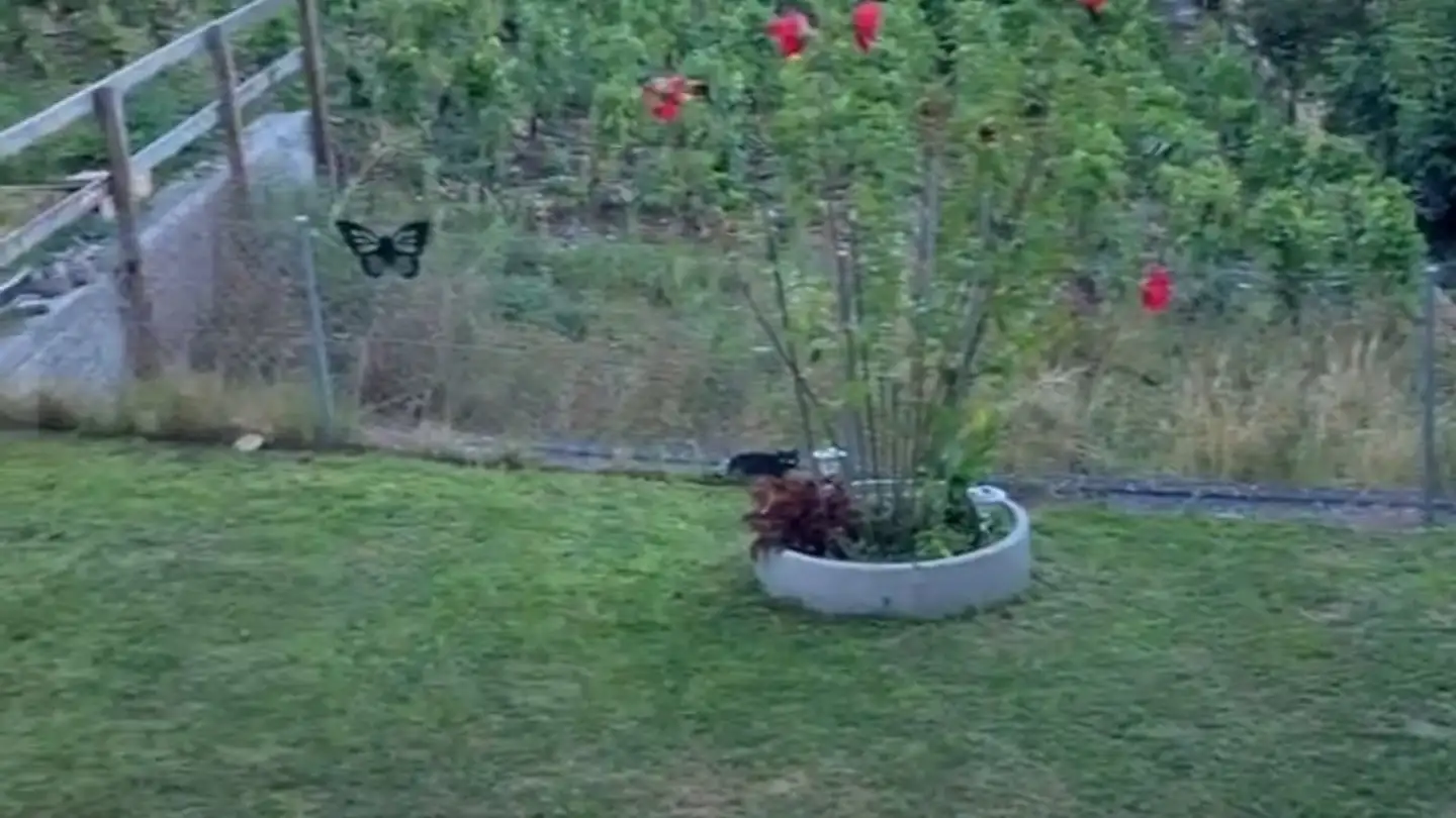 Single house for rent - Rue Du Moulin 34, 1963 Vétroz - Photo 3