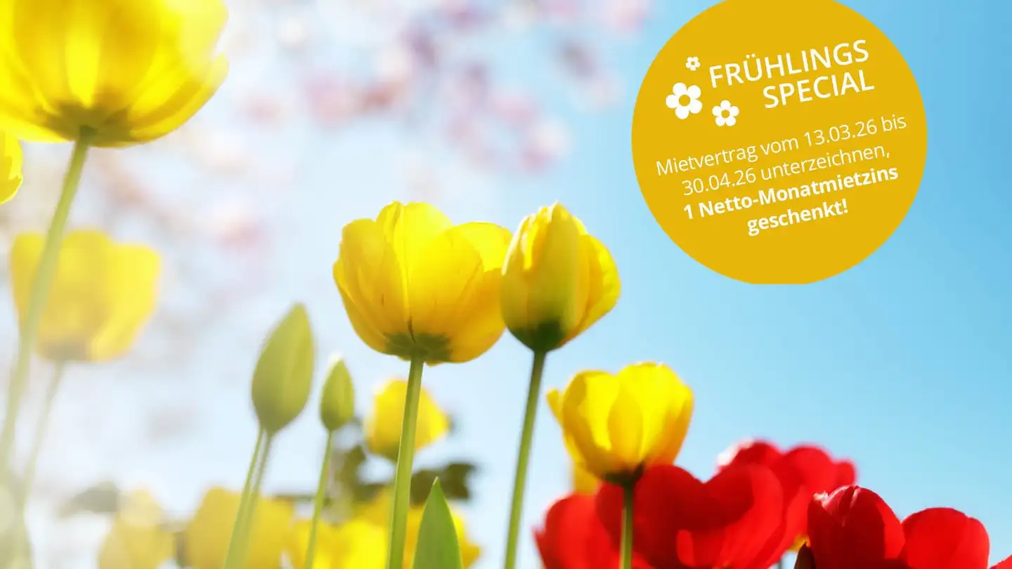 Appartamento in affitto - Feldstrasse 3a, 9443 Widnau