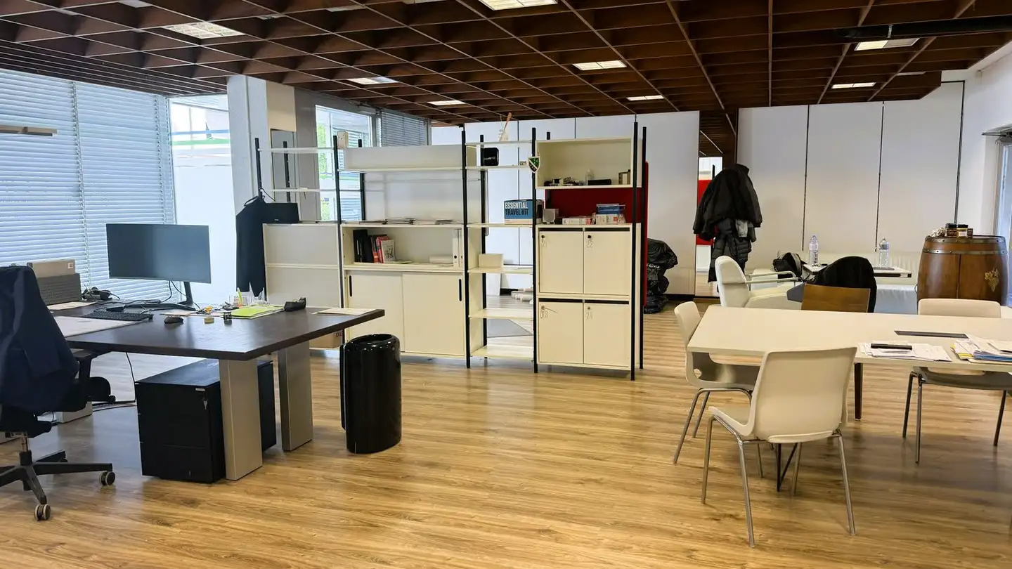 Immeuble mixte à vendre - Biberstrasse 7, 8240 Thayngen - Photo 2