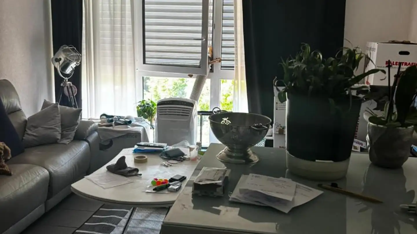 Appartement à louer - Rue Des Lattes 21c, 1217 Meyrin