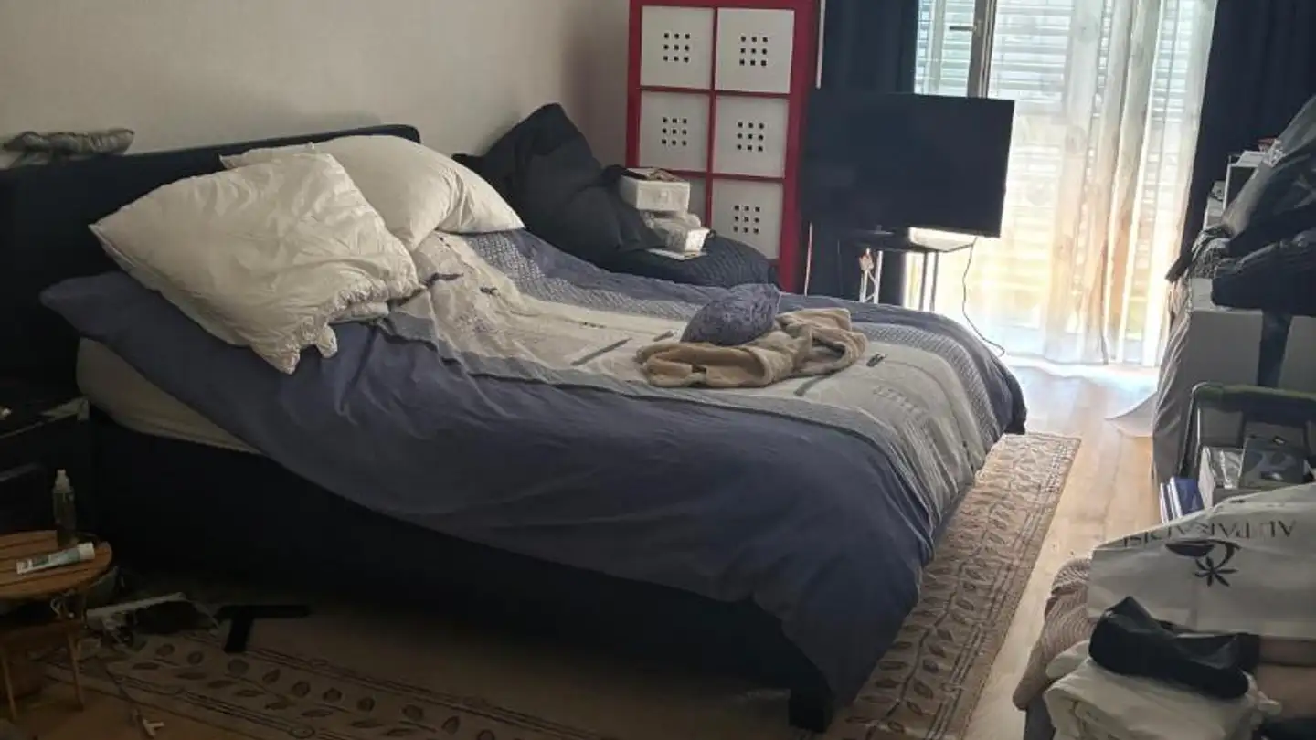 Appartement à louer - Rue Des Lattes 21c, 1217 Meyrin - Photo 2