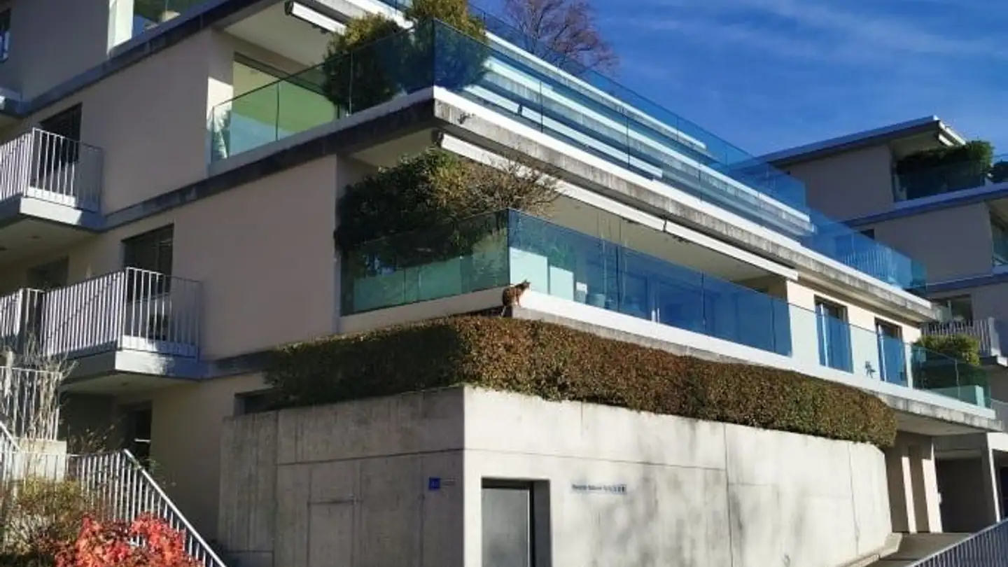 Casa a gradini in affitto - Haltenstrasse 23b, 6318 Walchwil