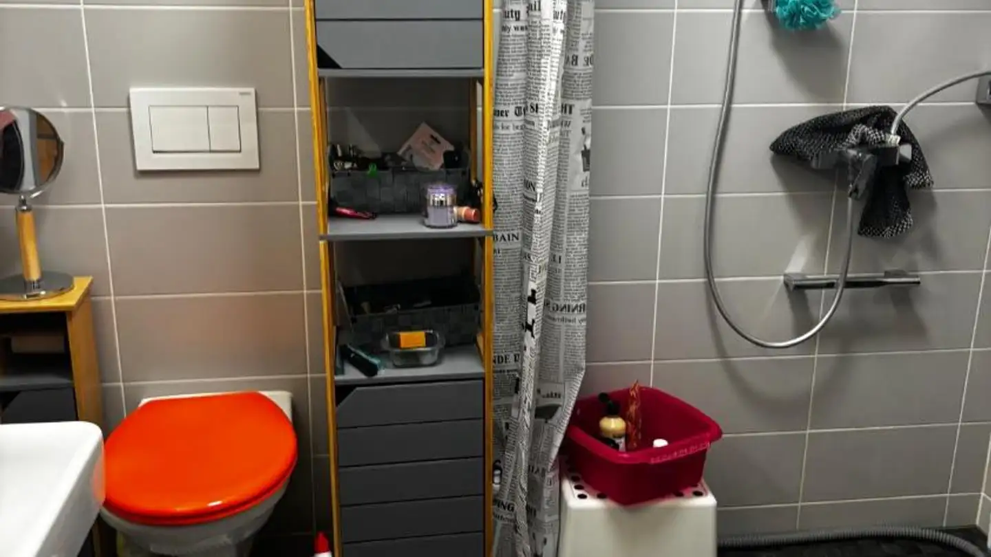 Appartement à louer - Rue Des Lattes 21c, 1217 Meyrin - Photo 3