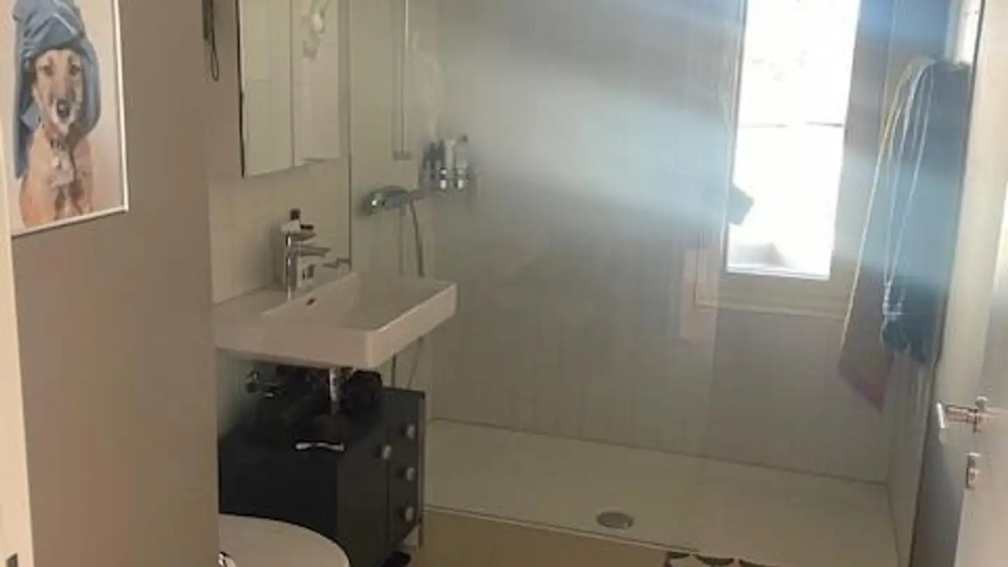 Appartamento in affitto - Bernstrasse 72, 6003 Luzern - Foto 4