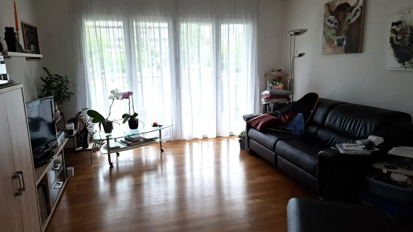 Appartamento in affitto - Messikommerstrasse 60, 8620 Wetzikon ZH - Foto 2