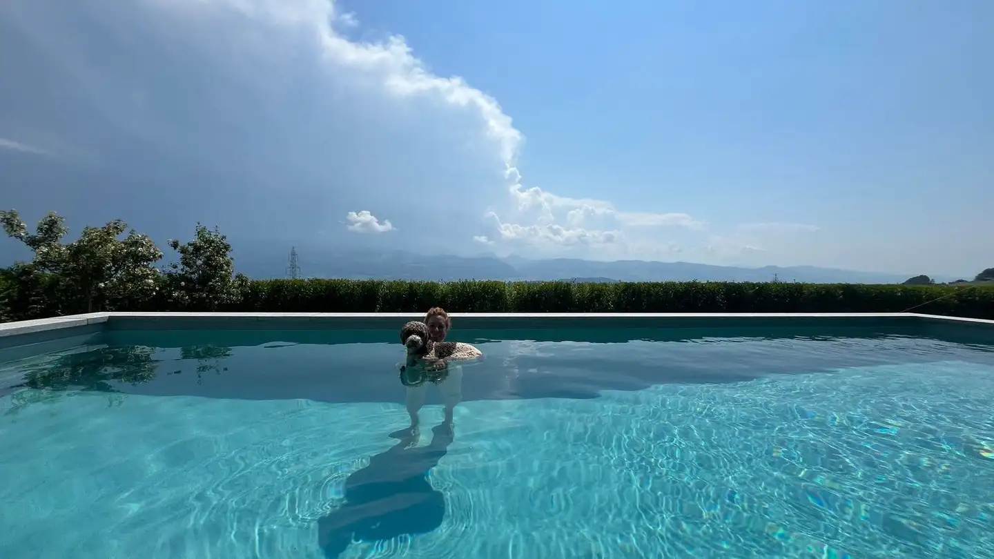 Einfamilienhaus kaufen - Obermatten 12, 8735 Rüeterswil - Foto 3