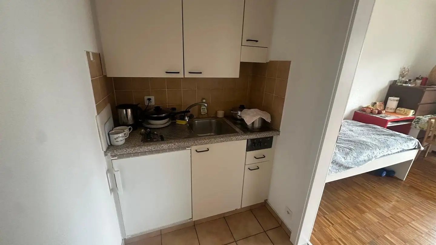 Apartment for rent - Via Ponte Vecchio 4, 6807 Taverne - Photo 3