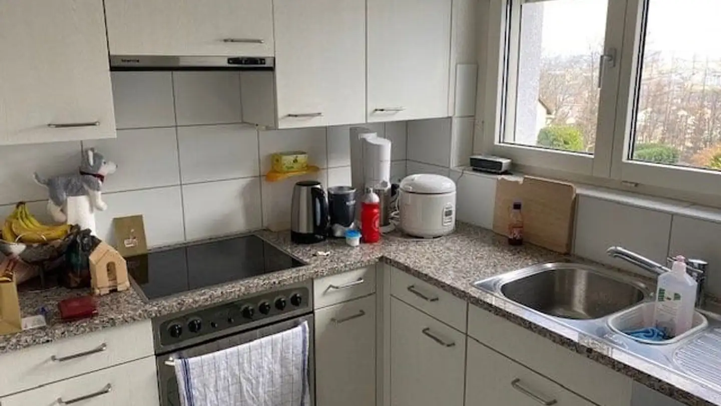 Chambre à louer - Rellstenstrasse, 8134 Adliswil - Photo 4